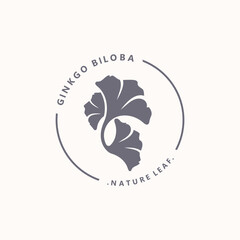 Ginkgo biloba logo nature. Healthy leaf organic used in medicine for disease treatment with line art style design