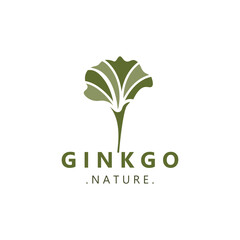 Ginkgo biloba logo nature. Healthy leaf organic used in medicine for disease treatment with line art style design