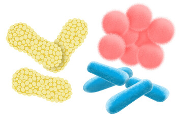 Illustration of a variety of bacteria isolated on a transparent background.