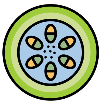 zucchini slice green yellow blue clip art preview