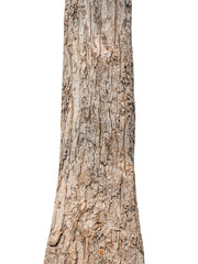 Trunk of a tree Isolated On transparent Background..