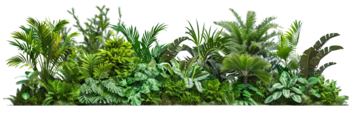 Lush tropical plant border with vibrant greenery, isolated on transparent background. Perfect for nature-themed projects, invitations, and decorative designs.