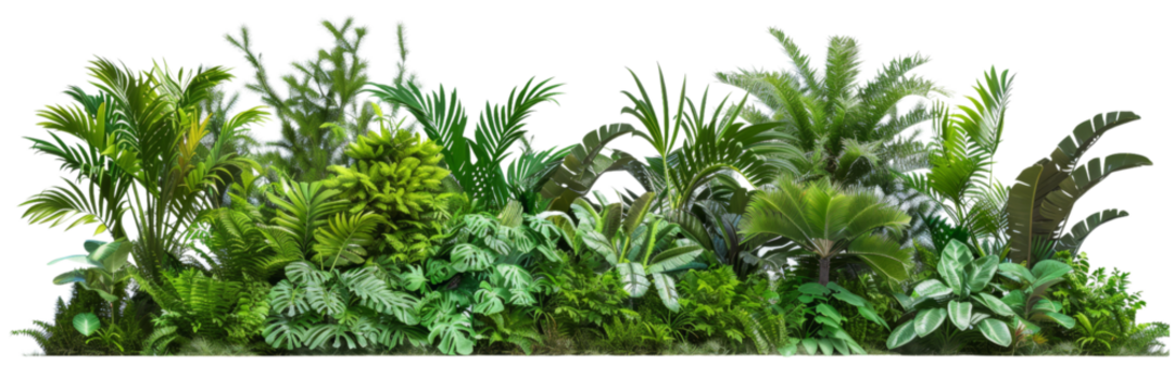 Lush tropical plant border with vibrant greenery, isolated on transparent background. Perfect for nature-themed projects, invitations, and decorative designs.