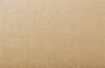 Beige Cardboard Texture Background With Copy Space