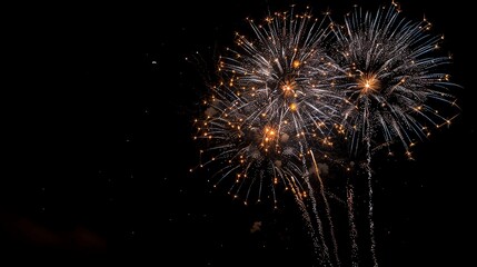 Obraz premium Vibrant fireworks exploding in the night sky, creating a colorful display of light and celebration against a dark backdrop.