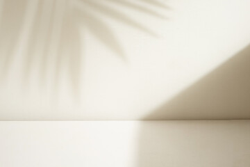 Minimalist room with shadow backdrop