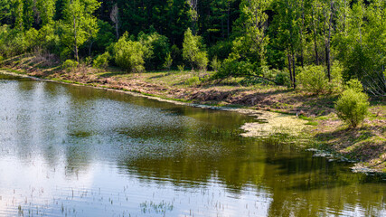 The scenery of Jingyuetan National Forest Park, Changchun, China in early summer