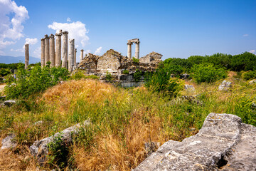 Fototapeta premium The Aphrodite of Aphrodisias (Afrodisias) combined aspects of a local Anatolian, archaic fertility goddess with those of the Hellenic Aphrodite, goddess of love and beauty. Geyre, Karacasu Aydin 