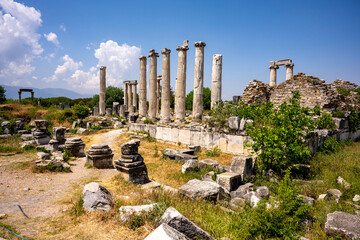 The Aphrodite of Aphrodisias (Afrodisias) combined aspects of a local Anatolian, archaic fertility...