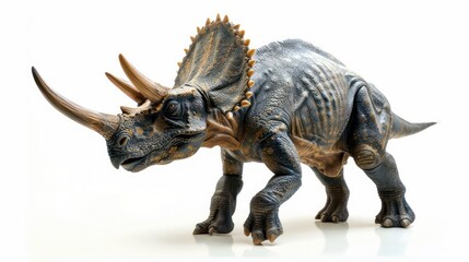 Ceratopsian clearly photo on white background , 