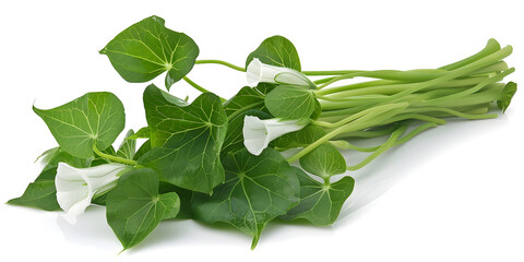 Pile of leaves as texture, Isolated White Background Mint Leaves Herbal Seasoning. 