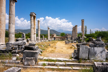 The Aphrodite of Aphrodisias (Afrodisias) combined aspects of a local Anatolian, archaic fertility...