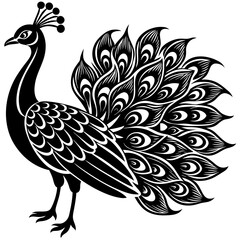 vector-hand-drawn-peacock--silhouette-black