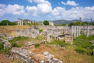 Obraz premium The Aphrodite of Aphrodisias ( Afrodisias Stadium ) combined aspects of a local Anatolian, archaic fertility goddess with those of the Hellenic Aphrodite, goddess of love and beauty. Karacasu Aydin