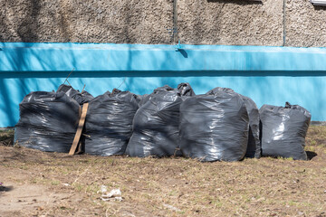 Black plastic bags full of spring garbage standing along the blue wall of the house. Spring cleaning. The concept of garbage collection, ecology, environmental cleanup.