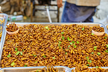 Deep fried silkworms chrysalis at street food