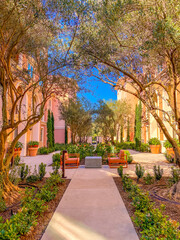 Tress in apartment courtyard