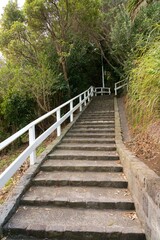 Beautiful Rural Stone Staircase Leading Up Through Lush Countryside