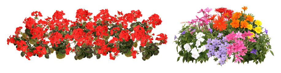 寄せ植え花切り抜きセット透過PNG背景白