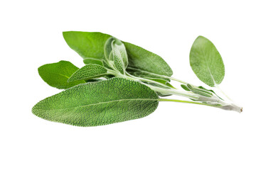 A bunch of fresh green herbs, including parsley