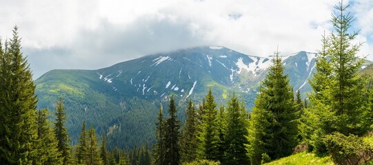 Fabulous and mysterious path in the forest. Location place of Carpathians mountain, Ukraine, Europe.