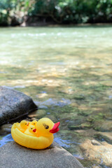 Rubber Ducks as Colorful Companions on a Colombian River Journey