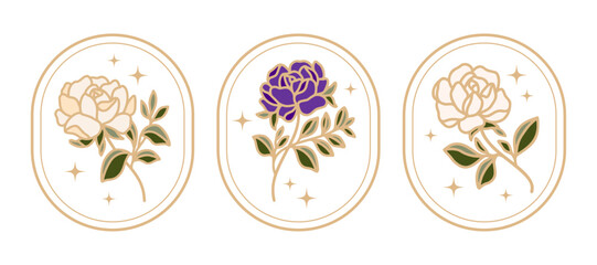 Set of hand drawn vintage botanical rose, peony flower, leaf branch elements and linear frame for feminine logo and beauty brand	