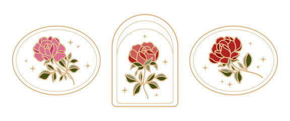 Set of hand drawn vintage botanical rose, peony flower, leaf branch elements and linear frame for feminine logo and beauty brand	