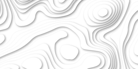 Abstract white color papercut realistic decoration background design. modern white 3d luxury papercut wave line pattern background. geometry wallpaper, banner, poster vector illustration .