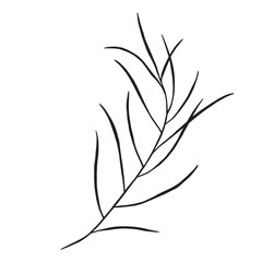 Obraz premium Greenery