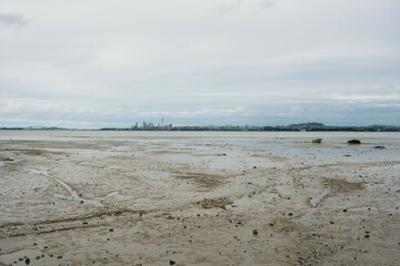 Auckland Skyline Behind Mudflats