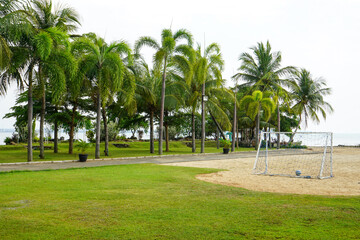 Fototapeta premium A meadow on the edge of the beach filled with palm and coconut trees. Neatly arranged grass looks beautiful. Grass field in the resort hotel area on the beach. Jepara, Central Java, Indonesia.
