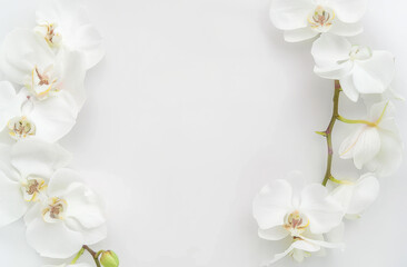 Obraz premium White orchid wreath, flat lay, elegant, delicate, floral arrangement, minimalist