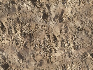 Photorealistic Top View Dirt Ground Texture