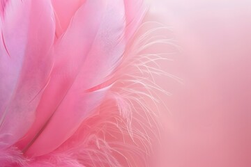 Soft Pink Feather Texture Background