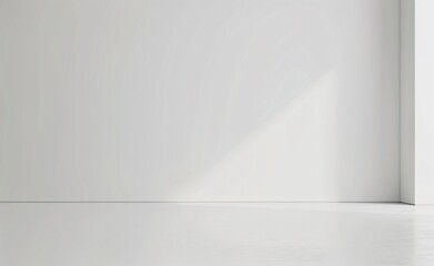 Minimalist White Wall Room Interior Design