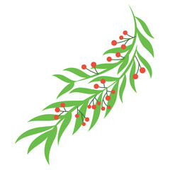 Christmas Collection