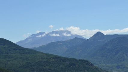 Nature's Rebirth: Forest and Water at Mt. St. Helens