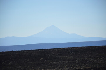 Fototapeta premium Charred Field with Distant View of Mt. Hood on a Clear Day