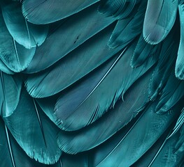 Teal Feather Pattern - High Resolution Texture