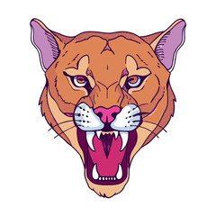 puma head open mouth looking ahead agressive