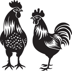 rooster and hen