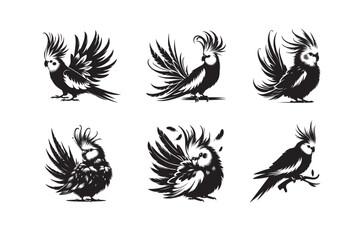 Fototapeta premium Lovebird Cockatiel vector silhouette different poses collection set