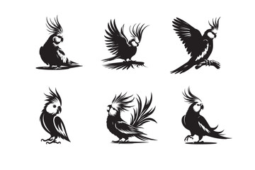 Lovebird Cockatiel  vector silhouette different poses collection set
