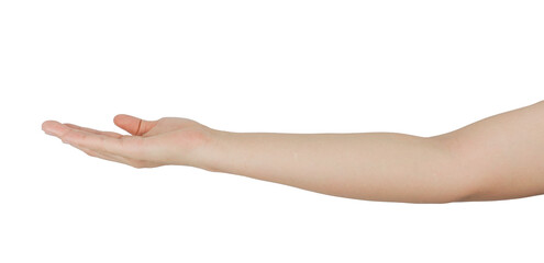 hand holding something, hand gesture open palm on transparency background png, side view, 