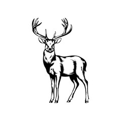 Fototapeta premium deer silhouette vector