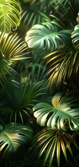 Close-up of lush green monstera leaves with sunlight filtering through the foliage, highlighting details and textures