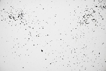 Abstract White Background with Black Spots