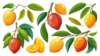 Obraz premium Collection Of Mangoes On Branch 
