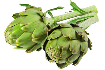 Obraz premium Two green artichokes are displayed on a white background